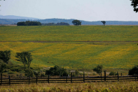 В Госдуму внесли законопроект об оценке стоимости изымаемых за нарушения земель