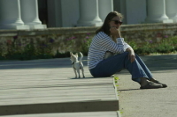 В Госдуму внесли законопроект о регламенте обращения с домашними животными