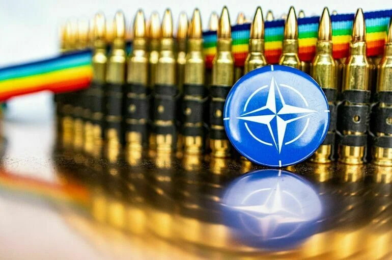 Euractive: Зеленский не посетит саммит НАТО в Гааге