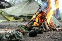 В Подмосковье запретили разводить костры и сжигать мусор