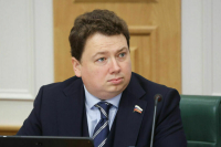 Сенатор Шендерюк-Жидков объяснил необходимость ограничений для дропперов