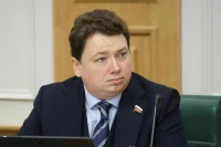 Сенатор Шендерюк-Жидков объяснил необходимость ограничений для дропперов