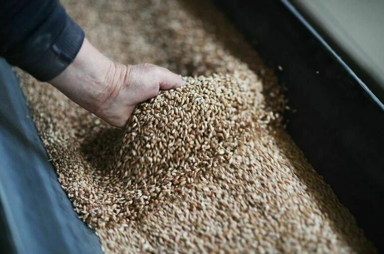 Поставщиков продуктов защитят от произвола торговых сетей