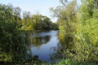 Данные о карантинных фитосанитарных зонах уберут из общего доступа