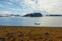 Инвестиции в геологоразведку в Арктике составили почти 175 млрд рублей