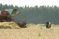 Кабмин прогнозирует дефицит кадров в России в два миллиона человек к 2030 году