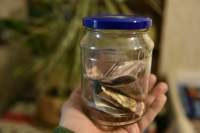 Россияне заключили 4,6 миллиона договоров долгосрочных сбережений