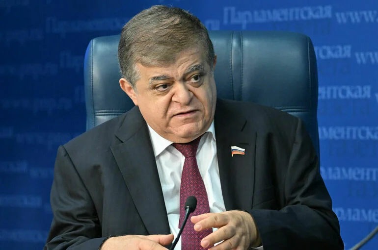 Сенатор заявил о надежде на быстрое пресечение планов по морской блокаде РФ