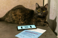 Минздрав: Дополнительные меры из-за нового варианта коронавируса не требуются