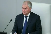 Володин призвал повысить денежное довольствие сотрудникам полиции