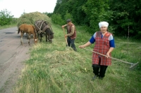 Порядок созыва собрания сельхозкооператива предложили усовершенствовать