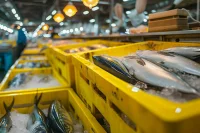 Сенаторы предложили Минсельхозу расширить страхование продукции аквакультуры