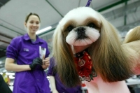 В Минтруде рассказали, кем школьнику подработать на каникулах