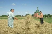 Анютины грядки: блогеры зовут жить и работать в деревне