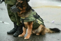 Росгвардейцы пресекли теракт на военном объекте в Рязанской области