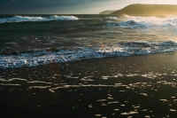  В Анапе в районе устья реки за сутки собрали 159 мешков мазута