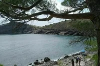 В пяти районах Крыма ввели режим ЧС из-за заморозков