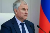 Володин рассказал о принятых 17 июня законах, направленных на защиту от мошенников