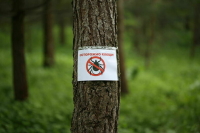 Информацию о карантинных фитосанитарных зонах уберут из общего доступа