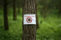 Информацию о карантинных фитосанитарных зонах уберут из общего доступа