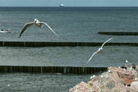 Кабмин скорректировал границы территориального моря России на Балтике