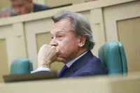 Сенатор Пушков прокомментировал снятие вопроса о вступлении Киева в НАТО