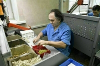 Путин дал поручение по стимулированию работодателей трудоустраивать инвалидов