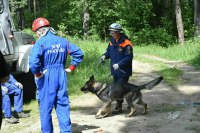 Статус ветерана боевых действий получат больше специалистов