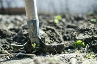 В Ленинградской области силовики прервали «обряд» с погребением людей заживо
