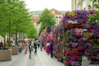 Москвичам пообещали комфортную погоду в середине июля