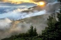 Площадь природного пожара в Алуште увеличилась до 5 га