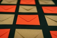 «Петербургский дневник»: Гости «Молодежной почты» отправили более 900 открыток