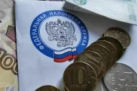 Налог на богатых принес в «Круг добра» более 200 миллиардов в 2024 году