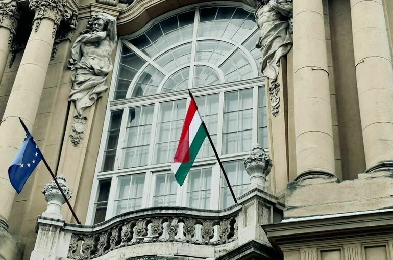 Социолог считает, что Украина попробует повлиять на выборы в Венгрии