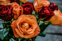 Россия может поднять пошлину на ввоз цветов из недружественных стран