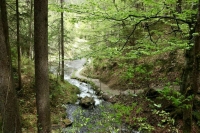 В ДНР и Запорожской области создали природный заповедник «Степь Донецкая»