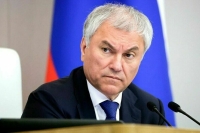 Володин предложил расширить список оснований для лишения гражданства