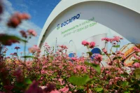В Волгоградской области прошел Всероссийский день поля — крупнейший агрофорум страны