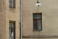 Жителей аварийных домов расселят быстрее