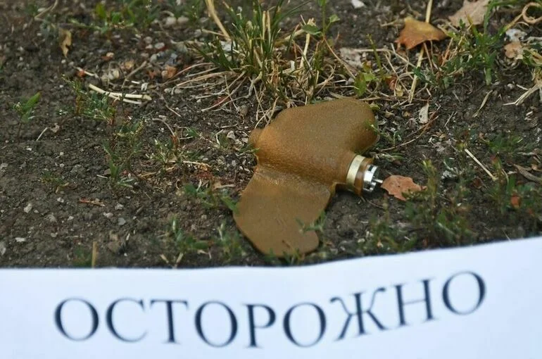 Рогов: ВСУ начали маскировать мины «Лепесток» под мусор