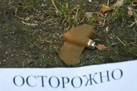Рогов: ВСУ начали маскировать мины «Лепесток» под мусор