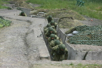 ТАСС: Военные пленили иностранных наемников в селе Карла Маркса