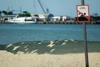 В Анапе не обнаружили новых выбросов мазута