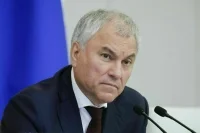 Володин: Налог на бездетность — не наш путь