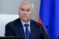 Володин рассказал, какие законы помогут улучшить учет иностранцев