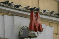 В Москве из-за ливня закрыли участок Филевской линии метро