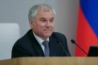 Володин: Госдума на 100% выполнила план законодательного обеспечения Послания Президента