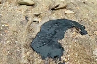 Мазут из затонувшего танкера «Волгонефть-212» все еще поступает в море