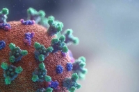 Эксперт рассказала, как питаться при вирусной инфекции