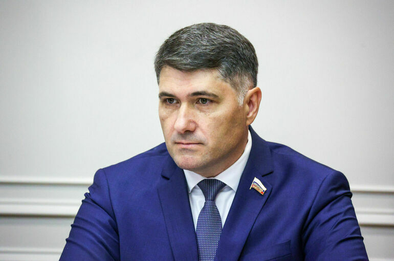 Сенатор рассказал, как «полярный индекс» помогает выявить проблемы в Арктике